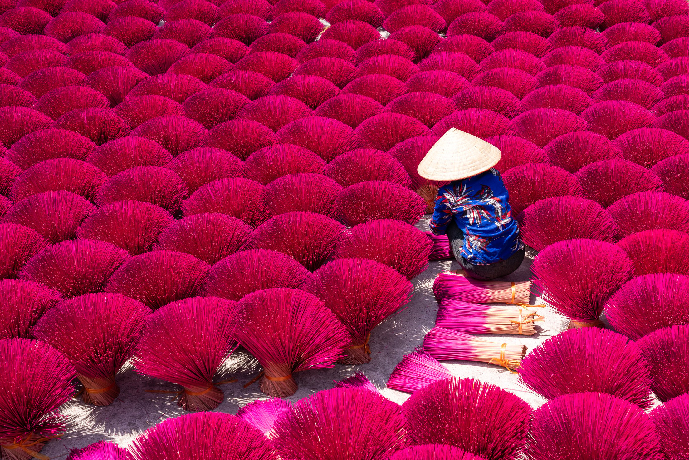 Woman Drying Vietnam Incense Sticks